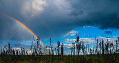 Rainbow Dark clouds Blue skies