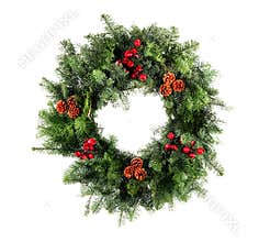 Christmas Wreath Isolated
