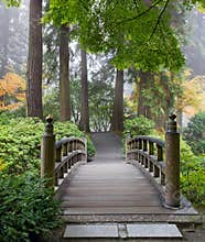 Foggy Morning Foot Bridge Japanese Garden