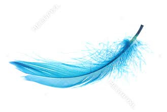 Feather