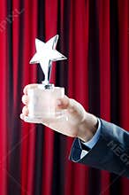 Businessman with star award
