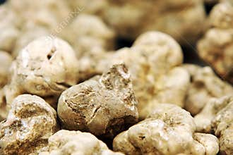 Truffles