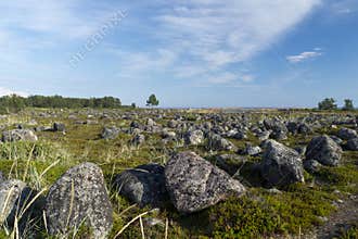 Boulders covering a mossy meadow