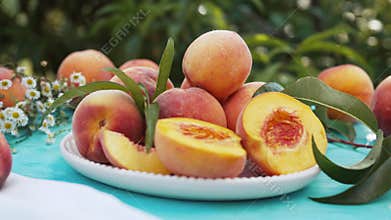 Still life of ripe peaches and nectarine.Healthy harvest from home rustic garden