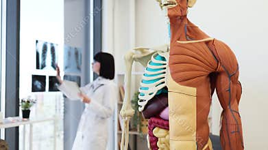 Female doctor examining X-rays and taking notes in modern medical office