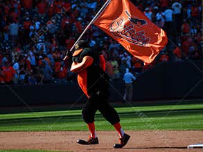 Baltimore Orioles
