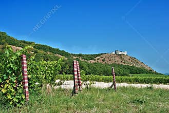 Castle DÄ›viÄky