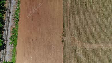 Aerial View Two Adjacent Farmland Fields, One Freshly Plowed Brown, Other With Neatly Planted Rows