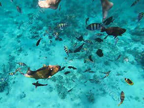 Human invasion of the underwater world.