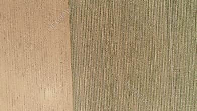 Aerial View Two Adjacent Farmland Fields, One Freshly Plowed Brown, Other With Neatly Planted Rows