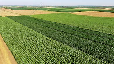 Aerial view of agriculture fields