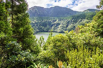 A view past trees towards Lake Santiago on the island of San Miguel in the Azores