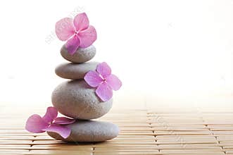 Zen stones and flowers