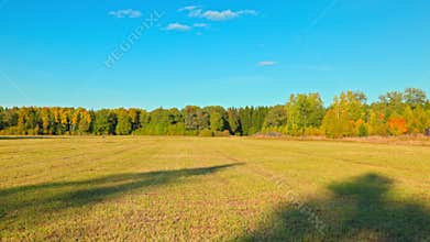 Beautiful view of an autumn landscape with an agricultural harvested field and forest trees under clear blue sky.