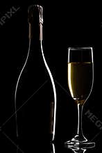Champagne glass