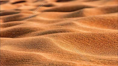 Sand of the Sahara desert