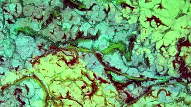 Slow Motion Macro Abstract Pattern Artistic Concept Color Surface Moving Surface Liquid Paint Splashing Art Design Texture