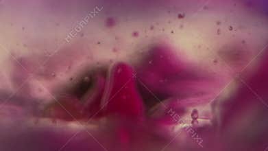 Gel bubbles fluid paint drop pink emulsion water