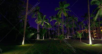 Night view of palm tree garden of a sea resort with beach bungalows and villas 4k video