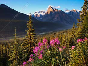 Beautiful landscape with Rocky Mountains at sunset in Banff National Park, Alberta, Canada