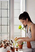 The girl wipes a dust from houseplant leaves