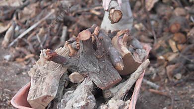 A man puts firewood in a cart, close-up