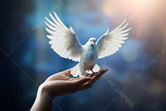 Releasing a white dove into the wild. Freedom concept and international day of peace.