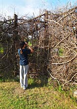 Birdwatching activity, kid at nature hide