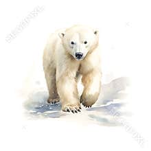 polar bear watercolor children's book illustration style on white background