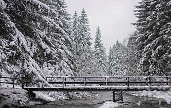 the river flows slowly below in the forest whitened by heavy snow