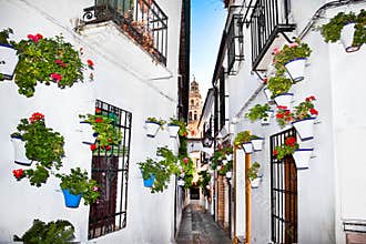 Flowers flowerpot on the walls on streets of Cordoba. Spain