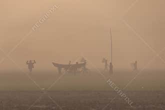 Winter morning in Bangladesh