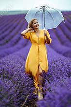 A middle-aged woman in a lavender field walks under an umbrella on a rainy day and enjoys aromatherapy. Aromatherapy