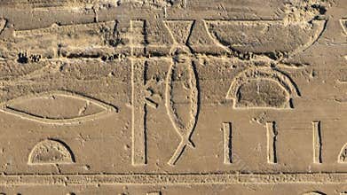 Egyptian hieroglyphs close-up in Luxor Temple, ancient Thebes, Egypt. Luxor Temple is a large Ancient Egyptian temple
