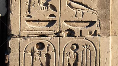 Ancient Egyptian hieroglyphs and bas-reliefs close-up in Luxor Temple, ancient Thebes, Egypt. Luxor Temple is a large
