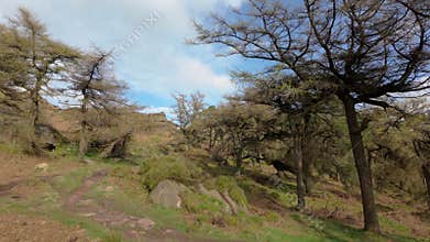 Destination scenics at The Roaches in the Peak District National Park