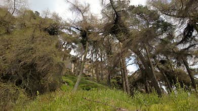 Destination scenics at The Roaches in the Peak District National Park