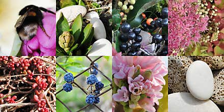 Garden collage