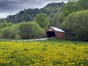 Covered bridge in Vermont, USA