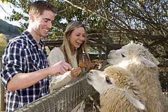 Couple at Petting Zoo