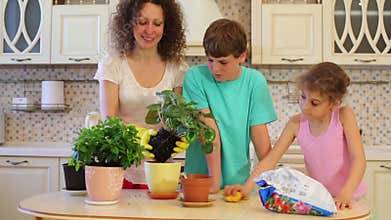 Woman transplants flowers in pots, boy and girl
