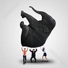 Business team lifting elephant on white
