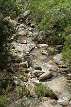 River Duero in Soria Spain
