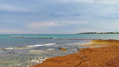Beautiful Caribbean beach totally filthy dirty nasty seaweed problem Mexico