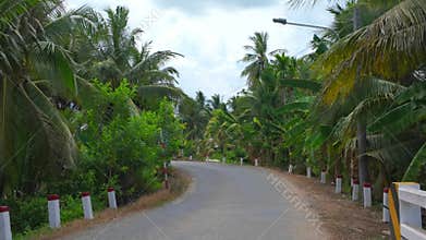 Backpacking alone moving through country road for relax cause stress, beautiful view of Mekong Delta rural with banana trees