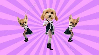 Women with dogs heads, all dressed in traditional Bavarian attire and dancing against vibrant pink background with