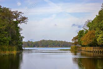 Lake At John Chesnut Sr Park in Palm Harbor