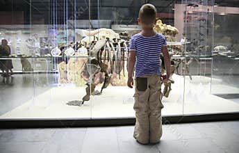 Boy in museum