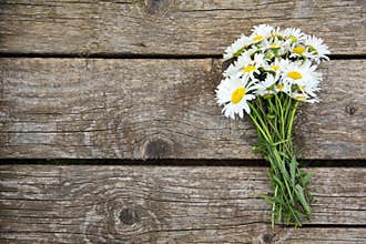 Chamomile on wooden table