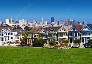San Francisco Painted Ladies